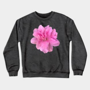 Pink Azalea Flower Close-up Crewneck Sweatshirt